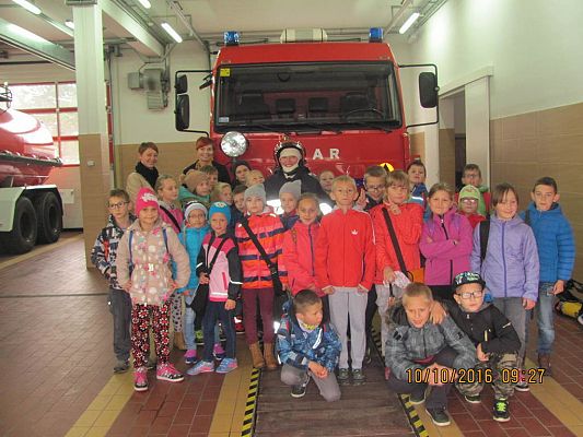 Grafika #6: Państwowa Straż Pożarna