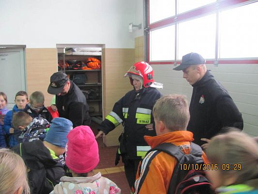 Grafika #7: Państwowa Straż Pożarna