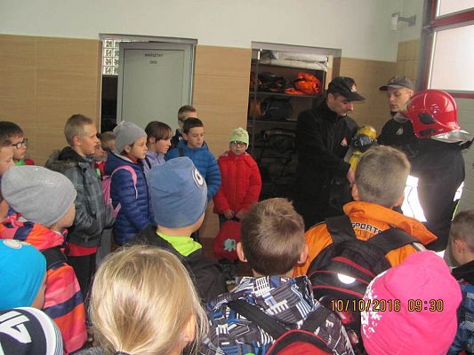 Grafika #8: Państwowa Straż Pożarna