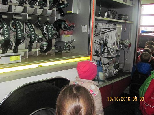 Grafika #10: Państwowa Straż Pożarna