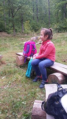 Grafika #4: Wycieczka na ścieżkę ekologiczną i do lasu.