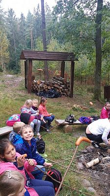 Grafika #10: Wycieczka na ścieżkę ekologiczną i do lasu.