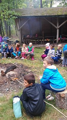 Grafika #11: Wycieczka na ścieżkę ekologiczną i do lasu.