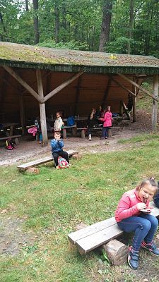 Grafika #14: Wycieczka na ścieżkę ekologiczną i do lasu.