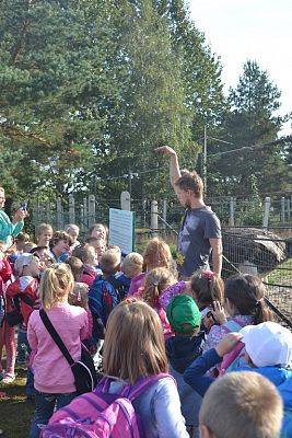 Grafika #1: Strusia Farma w Kniewie