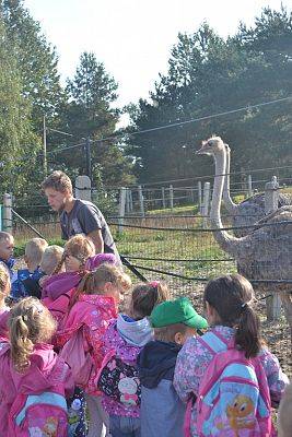 Grafika #2: Strusia Farma w Kniewie