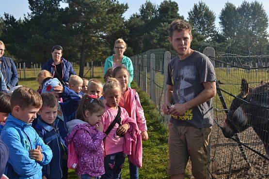 Grafika #3: Strusia Farma w Kniewie