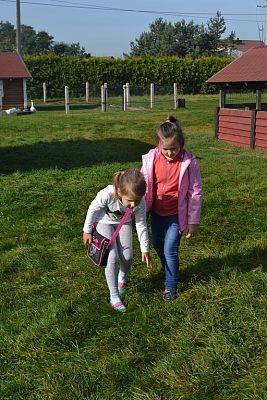 Grafika #9: Strusia Farma w Kniewie