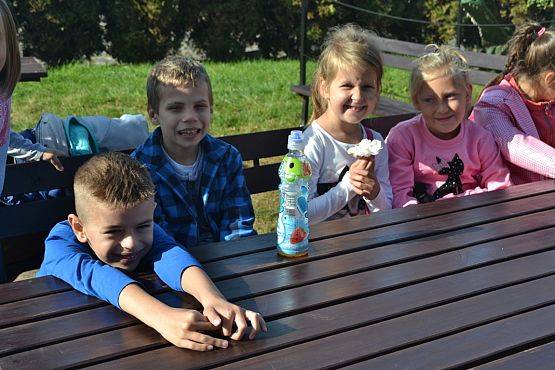 Grafika #19: Strusia Farma w Kniewie