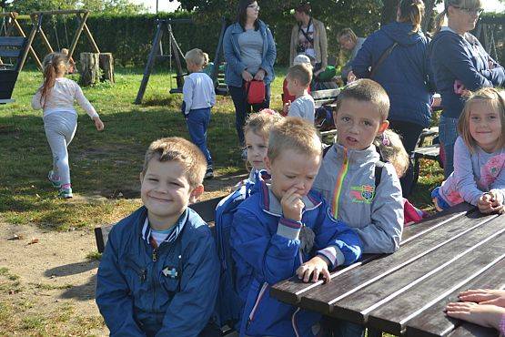 Grafika #13: Strusia Farma w Kniewie