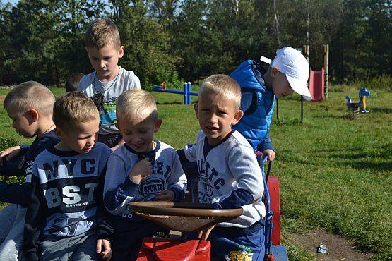 Grafika #14: Strusia Farma w Kniewie