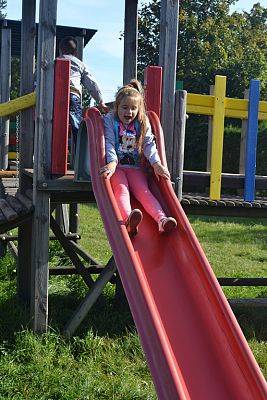 Grafika #15: Strusia Farma w Kniewie