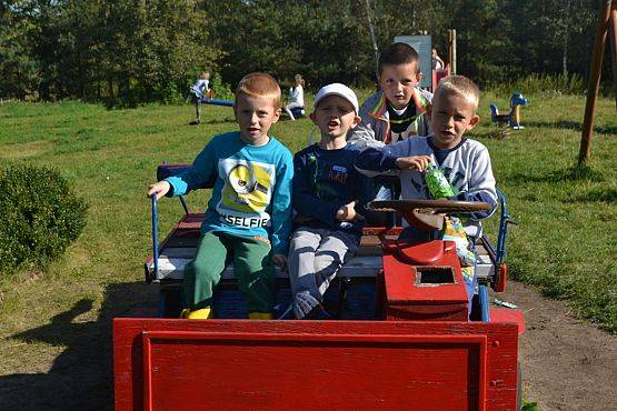 Grafika #23: Strusia Farma w Kniewie