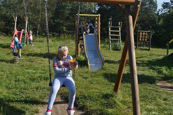 Grafika #24: Strusia Farma w Kniewie