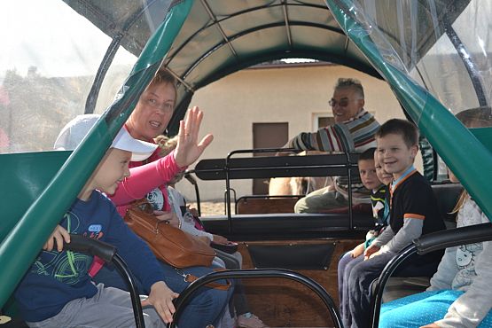 Grafika #28: Strusia Farma w Kniewie