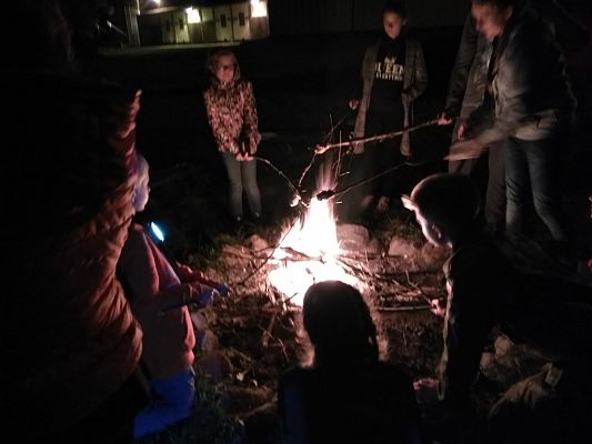 Grafika #14: Harcerski bieg po barwy 2016