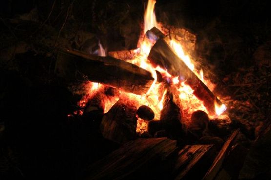 Grafika #13: Harcerski bieg po barwy 2016