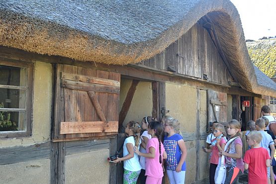 Grafika #3: Wycieczka do Nadola i Gniewina.