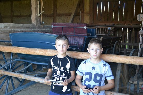 Grafika #5: Wycieczka do Nadola i Gniewina.