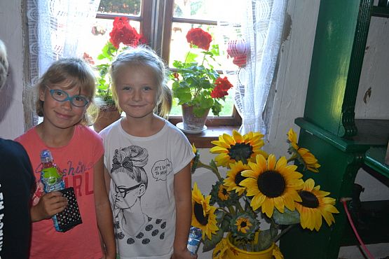 Grafika #14: Wycieczka do Nadola i Gniewina.