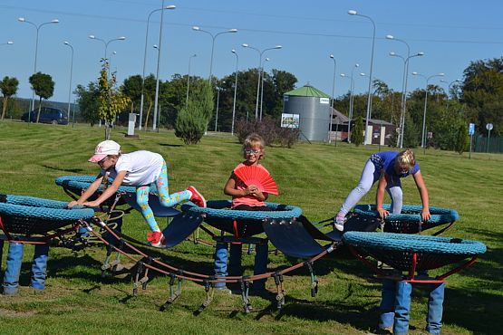 Grafika #24: Wycieczka do Nadola i Gniewina.