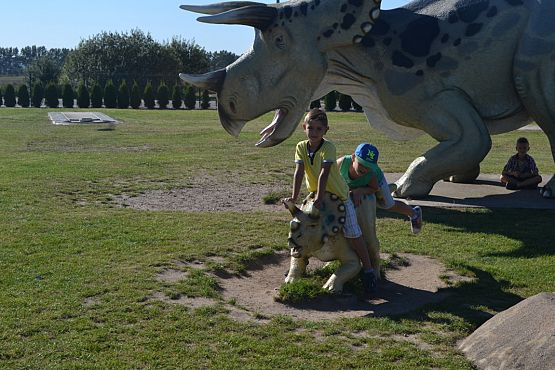 Grafika #28: Wycieczka do Nadola i Gniewina.