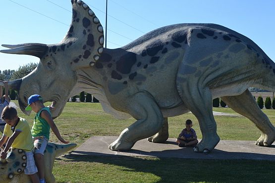 Grafika #29: Wycieczka do Nadola i Gniewina.