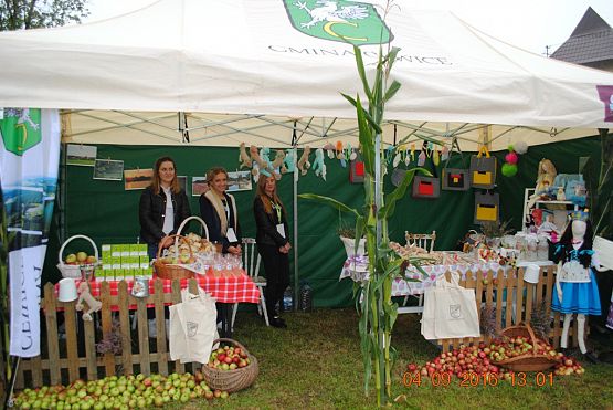 Grafika #10: Dożynki Powiatowe w Krępie Kaszubskiej