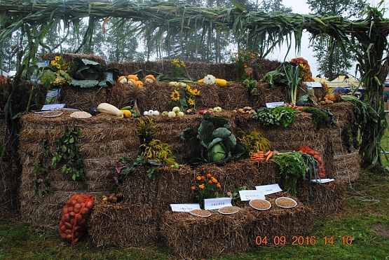 Grafika #11: Dożynki Powiatowe w Krępie Kaszubskiej