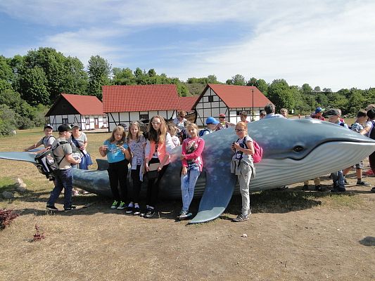 Grafika #8: Klasa IV na biwaku 15-17 czerwca