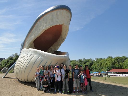 Grafika #10: Klasa IV na biwaku 15-17 czerwca