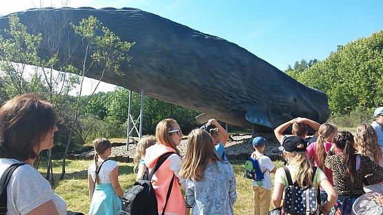 Grafika #1: Wycieczka do Władysławowa