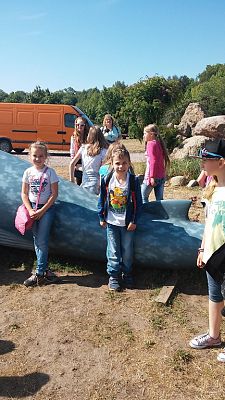 Grafika #3: Wycieczka do Władysławowa