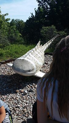 Grafika #9: Wycieczka do Władysławowa