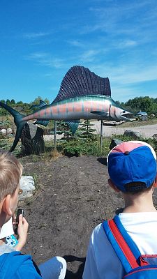 Grafika #13: Wycieczka do Władysławowa