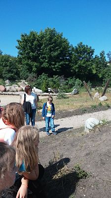 Grafika #14: Wycieczka do Władysławowa