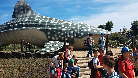 Grafika #15: Wycieczka do Władysławowa