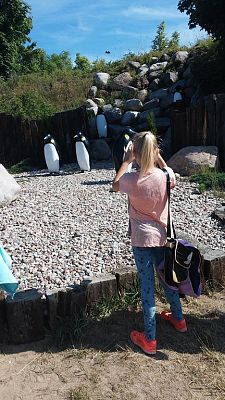 Grafika #16: Wycieczka do Władysławowa