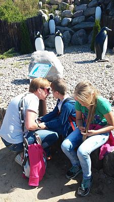 Grafika #18: Wycieczka do Władysławowa