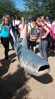 Grafika #19: Wycieczka do Władysławowa