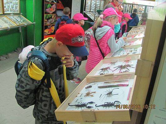 Grafika #16: Wycieczka drugoklasistów do Łeby