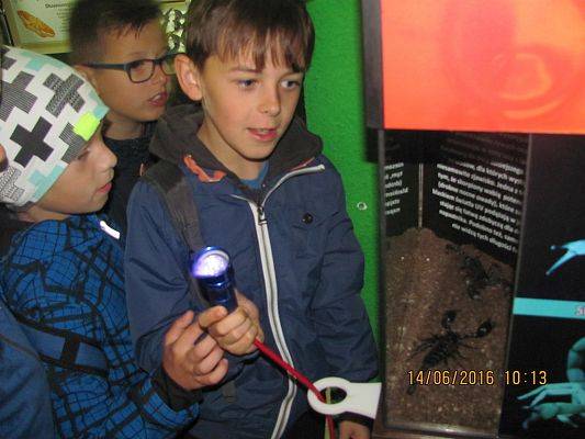 Grafika #17: Wycieczka drugoklasistów do Łeby