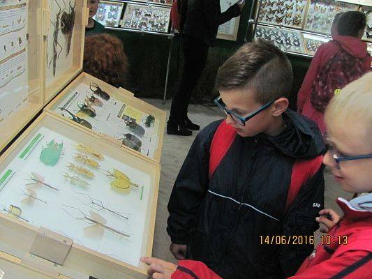 Grafika #18: Wycieczka drugoklasistów do Łeby