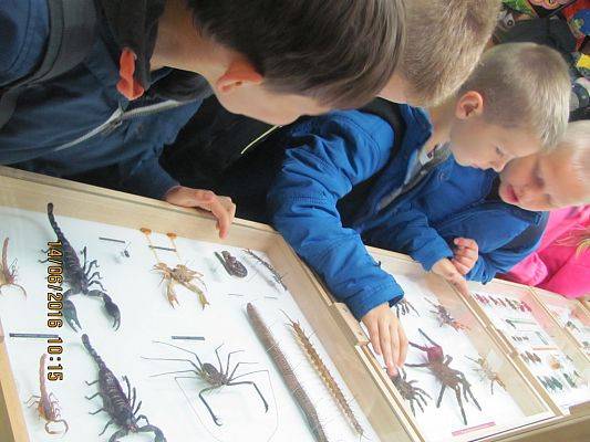 Grafika #20: Wycieczka drugoklasistów do Łeby