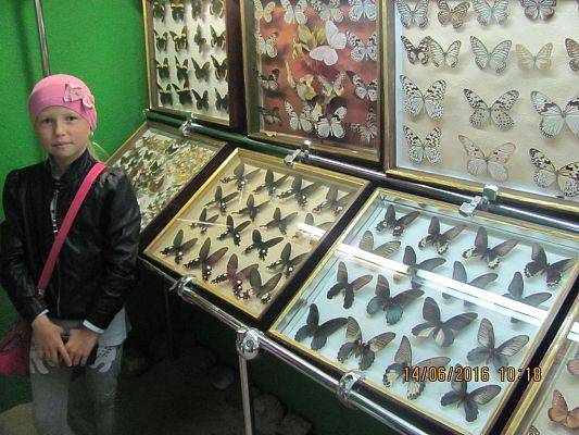 Grafika #22: Wycieczka drugoklasistów do Łeby