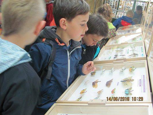 Grafika #24: Wycieczka drugoklasistów do Łeby