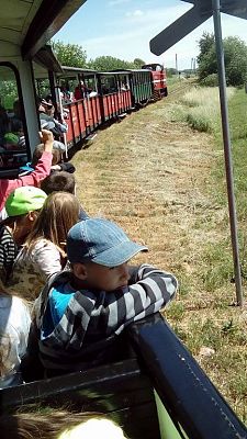 Grafika #12: Wycieczka do Biskupina, Gniezna