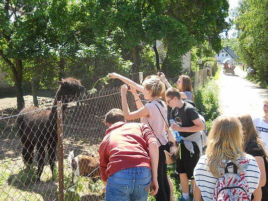 Grafika #12: Biwak w Chmielnie