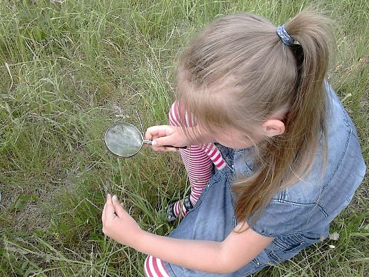 Grafika #3: Co kryje łąka? - zajęcia w klasie 1a