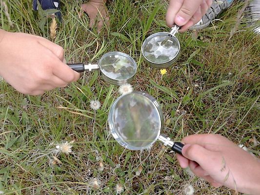 Grafika #5: Co kryje łąka? - zajęcia w klasie 1a